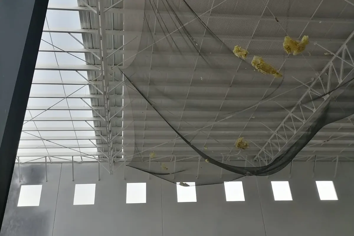 proyectos_aguivasa_obra2_07